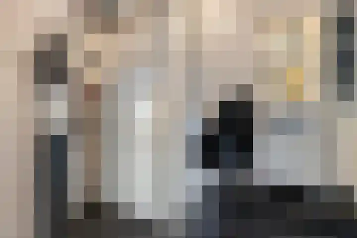 Loolaan 41 123 Apeldoorn thumbnail 14