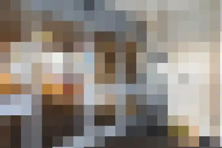 Loolaan 41 123 Apeldoorn thumbnail 17