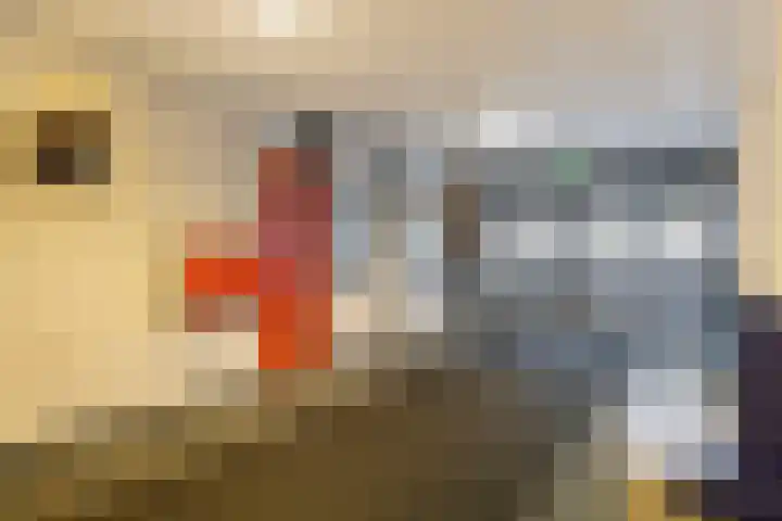 Loolaan 41 123 Apeldoorn thumbnail 18