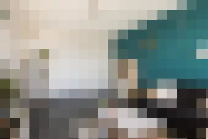 Loolaan 41 123 Apeldoorn thumbnail 6