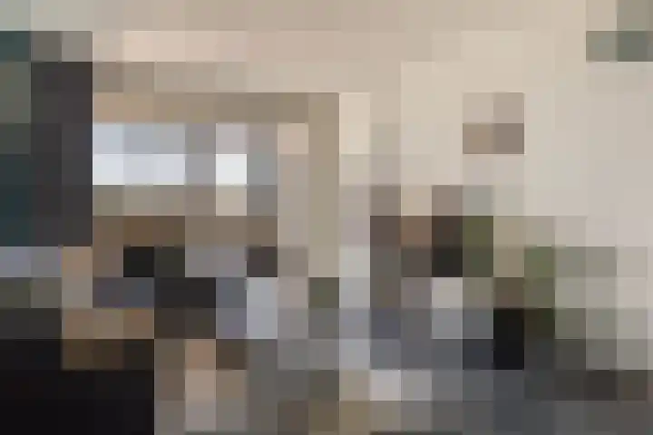 Loolaan 41 123 Apeldoorn thumbnail 7