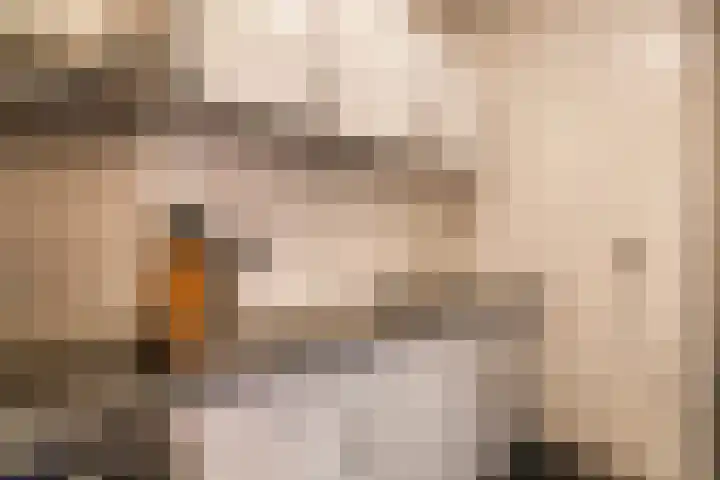 Loolaan 41 123 Apeldoorn thumbnail 8