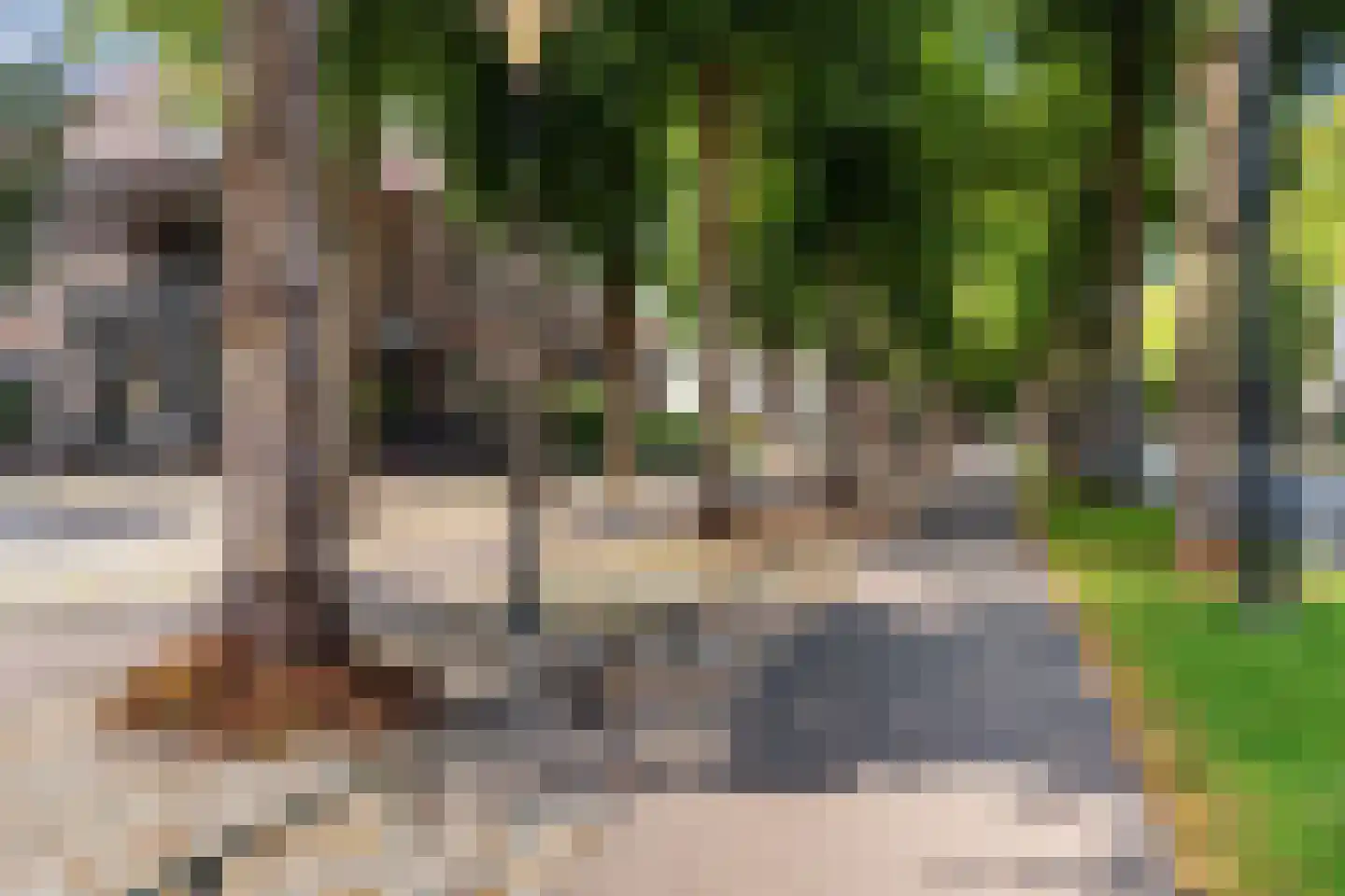 Loolaan 41 128 Apeldoorn thumbnail 23