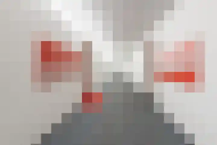 Loolaan 41 131 Apeldoorn thumbnail 8
