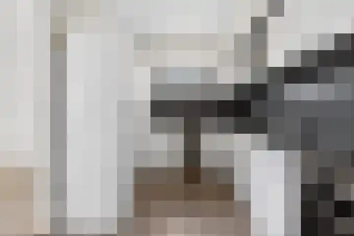 Loolaan 41 154 Apeldoorn thumbnail 11
