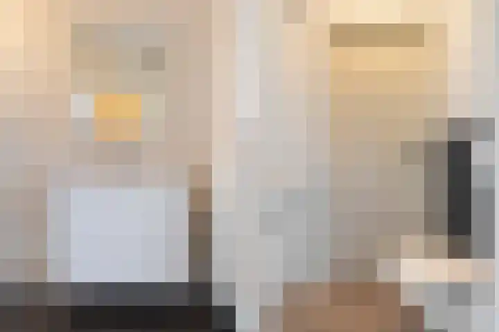 Loolaan 41 154 Apeldoorn thumbnail 17