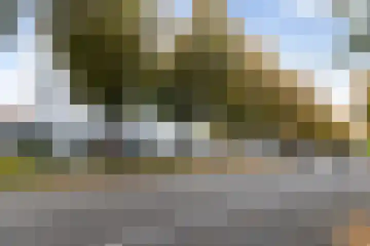 Loolaan 41 154 Apeldoorn thumbnail 19
