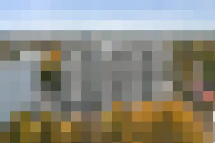 Loolaan 41 154 Apeldoorn thumbnail 22