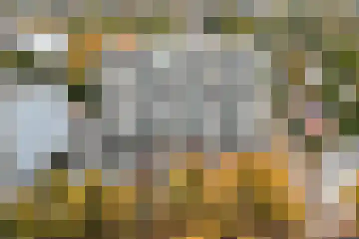 Loolaan 41 154 Apeldoorn thumbnail 23