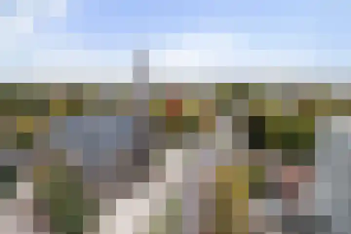 Loolaan 41 154 Apeldoorn thumbnail 25
