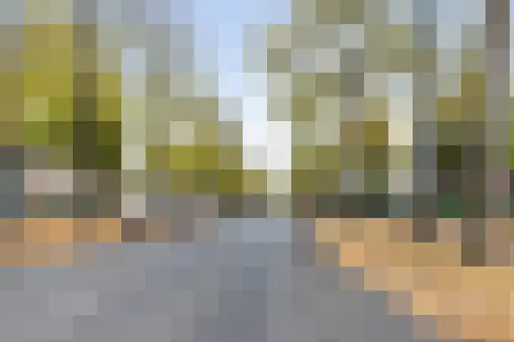 Loolaan 41 154 Apeldoorn thumbnail 26