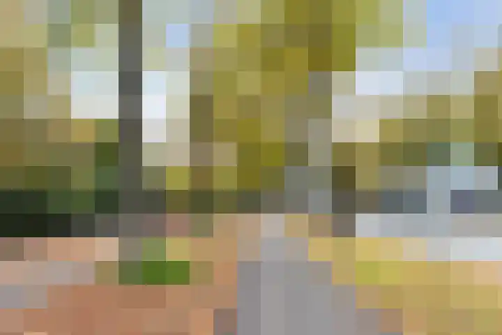 Loolaan 41 154 Apeldoorn thumbnail 27