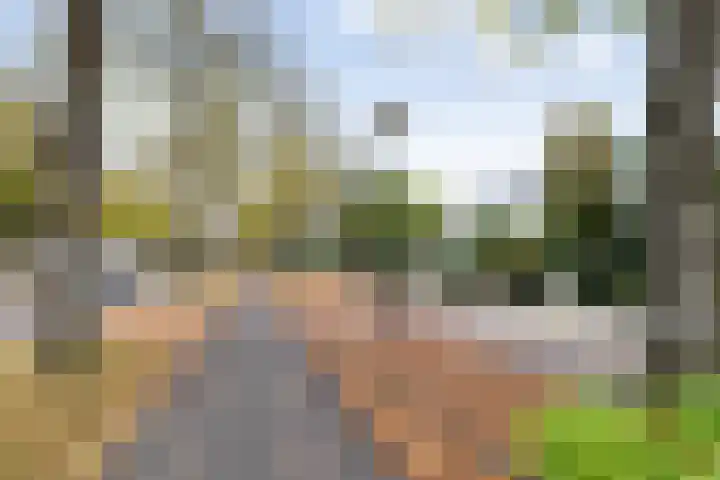 Loolaan 41 154 Apeldoorn thumbnail 29