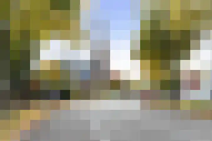 Loolaan 41 154 Apeldoorn thumbnail 31