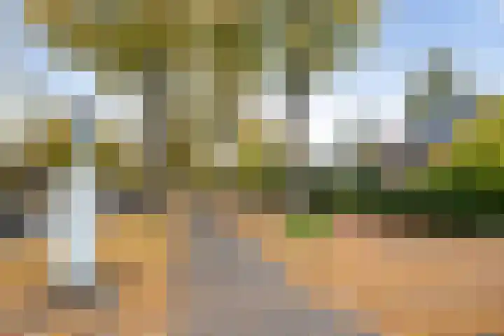Loolaan 41 154 Apeldoorn thumbnail 32