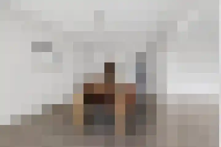 Loolaan 41 154 Apeldoorn thumbnail 9