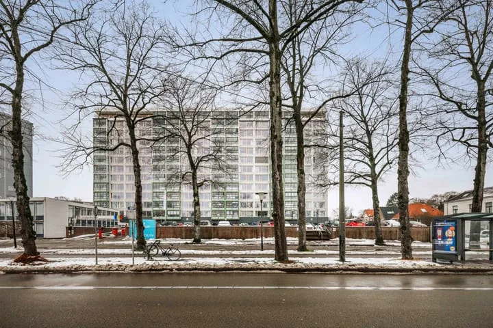 Loolaan 41 167 Apeldoorn