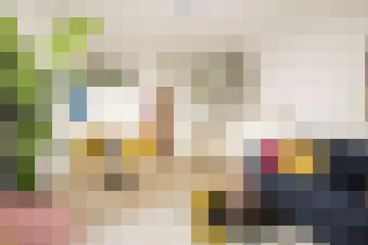 Loolaan 41 167 Apeldoorn thumbnail 10