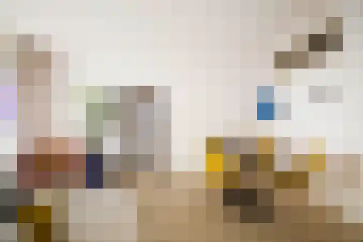 Loolaan 41 167 Apeldoorn thumbnail 11