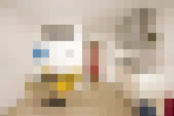 Loolaan 41 167 Apeldoorn thumbnail 12