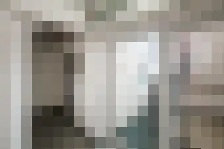Loolaan 41 167 Apeldoorn thumbnail 13