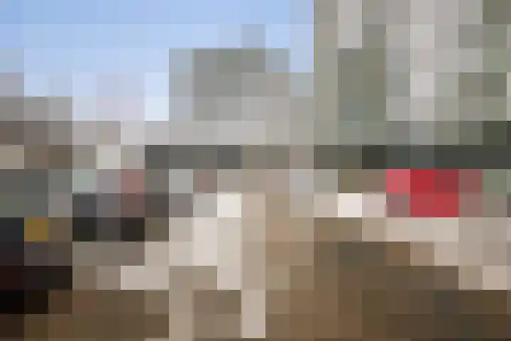Loolaan 41 167 Apeldoorn thumbnail 17