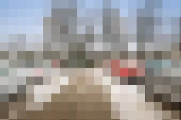 Loolaan 41 167 Apeldoorn thumbnail 18