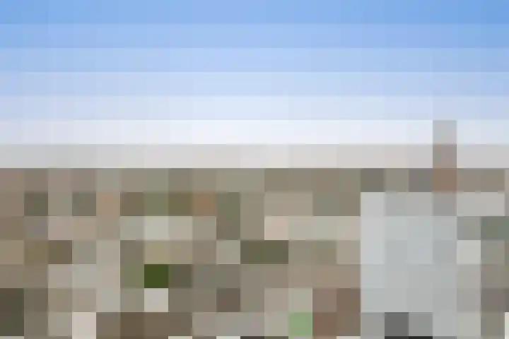 Loolaan 41 167 Apeldoorn thumbnail 8