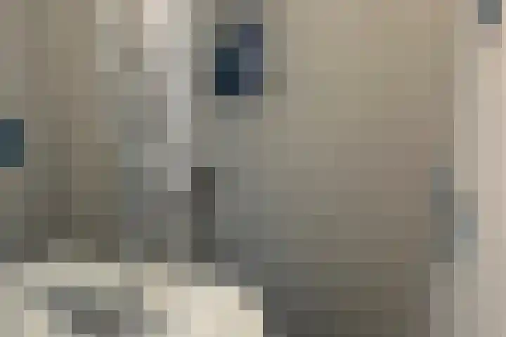 Loolaan 41 169 Apeldoorn thumbnail 13