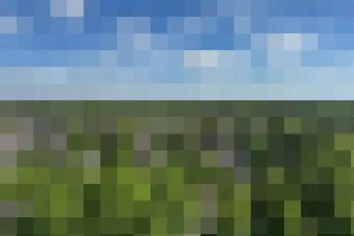 Loolaan 41 169 Apeldoorn thumbnail 16