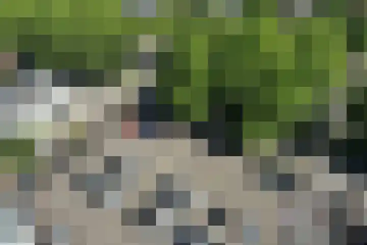 Loolaan 41 169 Apeldoorn thumbnail 17