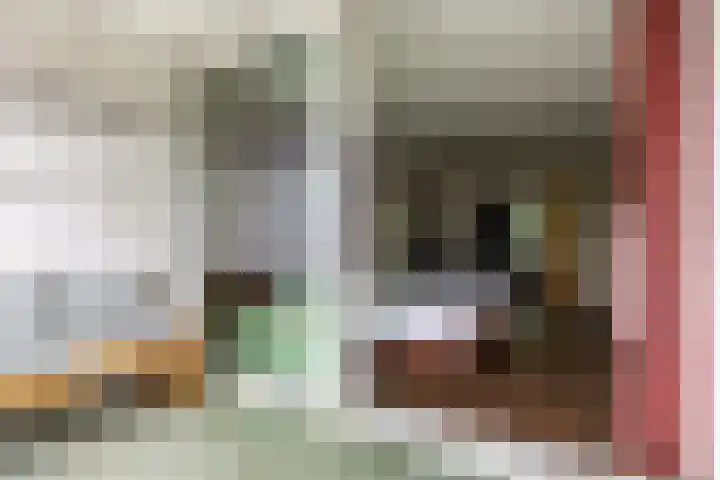 Loolaan 41 20 Apeldoorn thumbnail 10