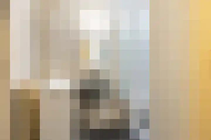 Loolaan 41 20 Apeldoorn thumbnail 16