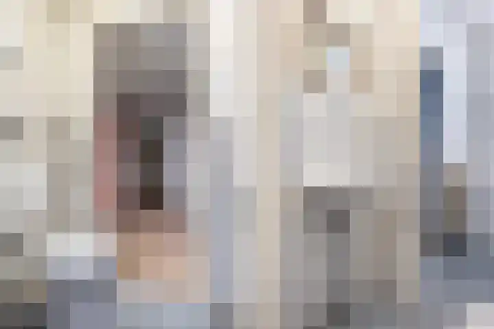 Loolaan 41 20 Apeldoorn thumbnail 18