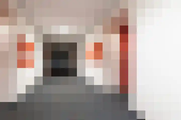 Loolaan 41 20 Apeldoorn thumbnail 22