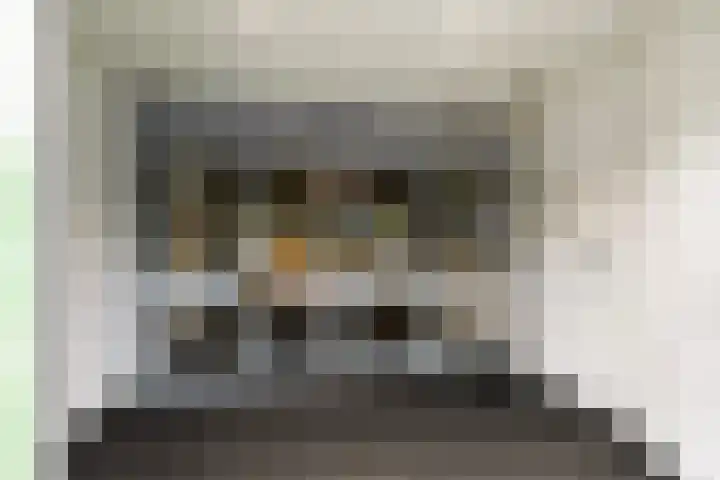 Loolaan 41 20 Apeldoorn thumbnail 29