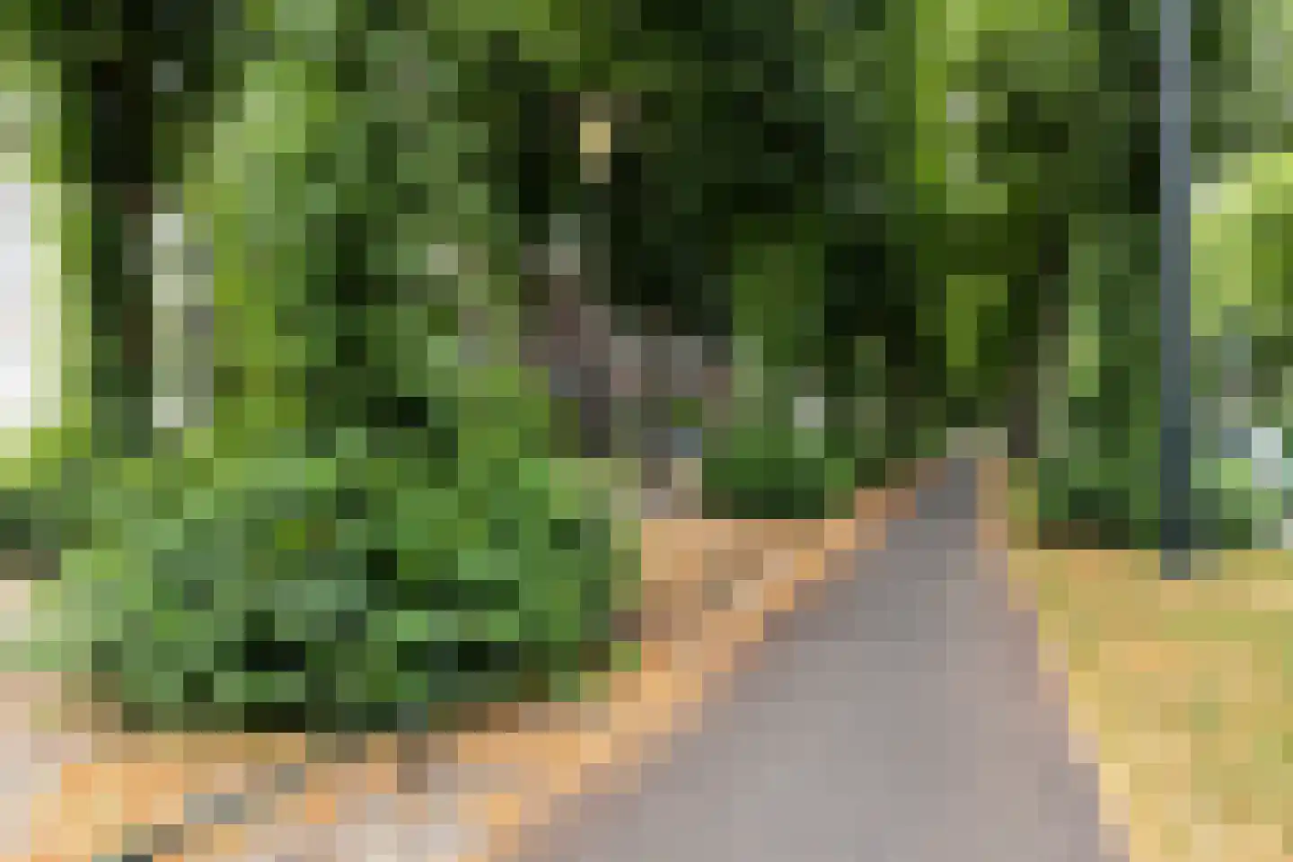 Loolaan 41 30 Apeldoorn thumbnail 25