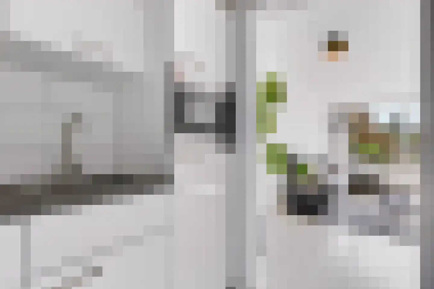 Loolaan 41 35 Apeldoorn thumbnail 11