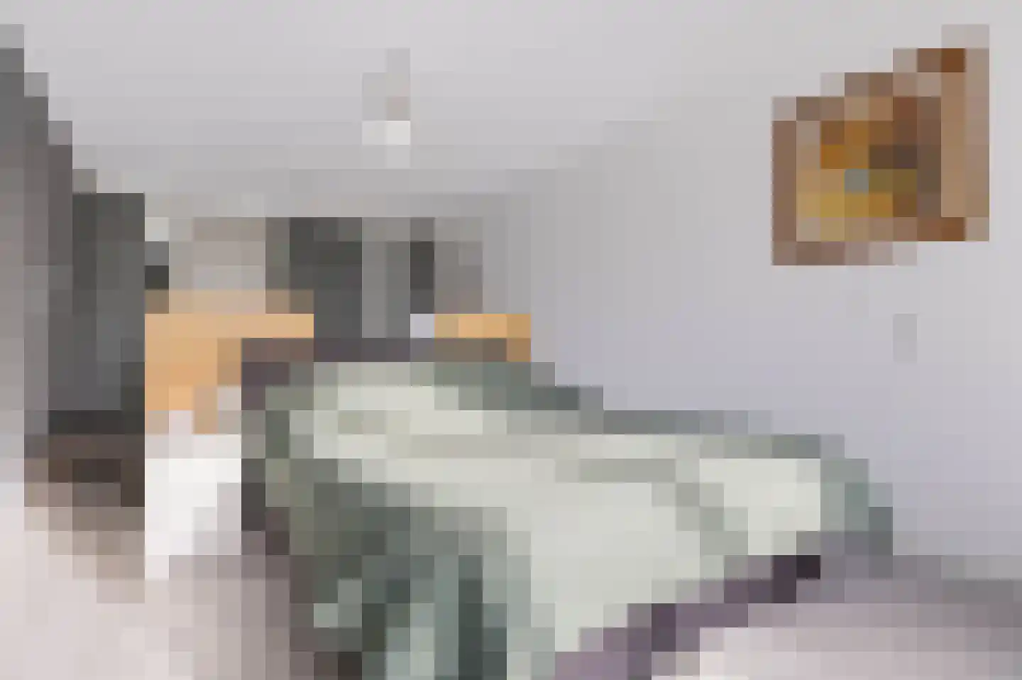 Loolaan 41 35 Apeldoorn thumbnail 13