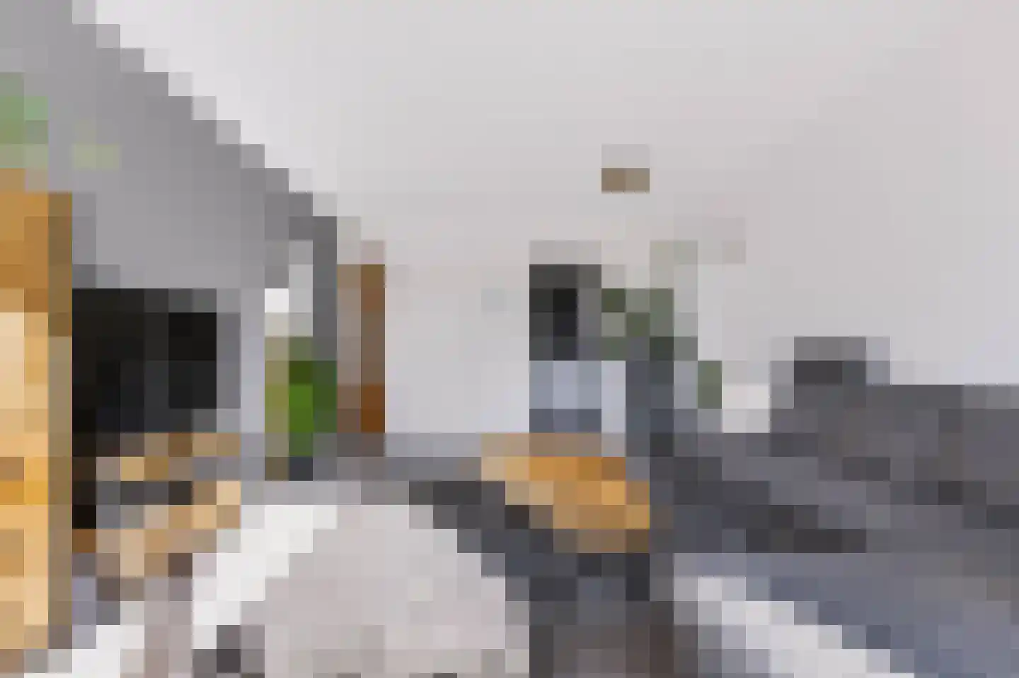 Loolaan 41 35 Apeldoorn thumbnail 9