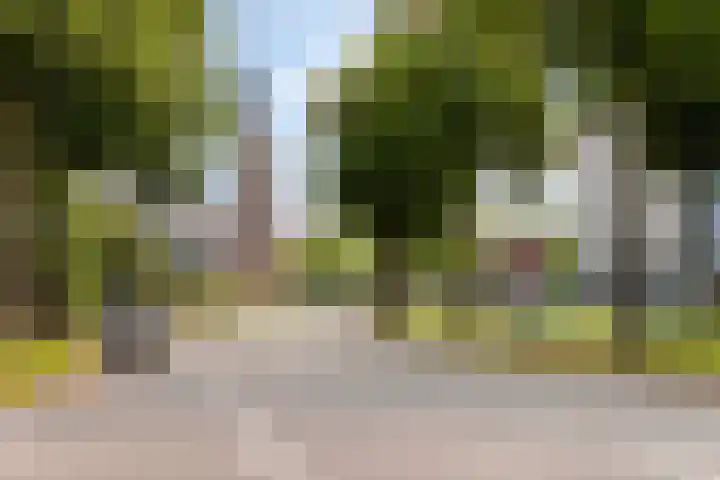 Loolaan 41 40 Apeldoorn thumbnail 12