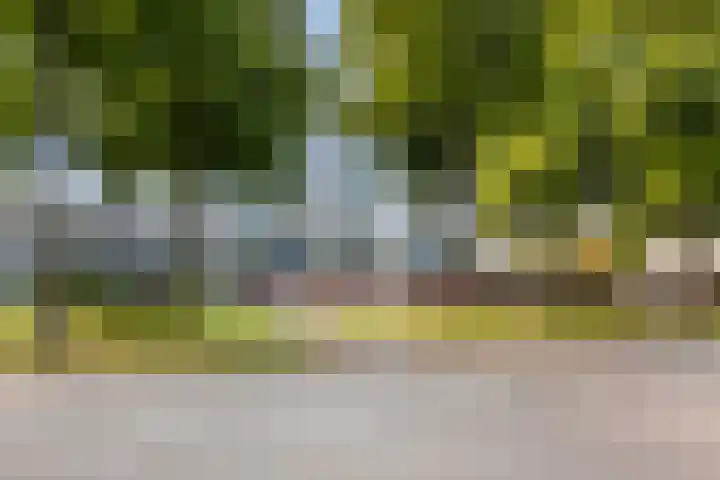 Loolaan 41 40 Apeldoorn thumbnail 15