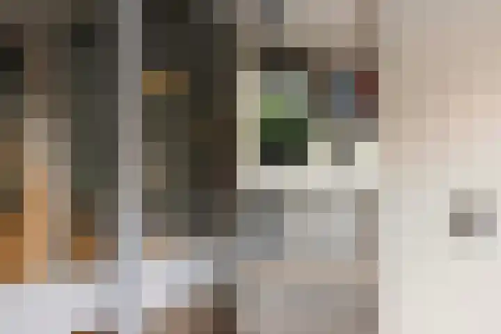 Loolaan 41 40 Apeldoorn thumbnail 16