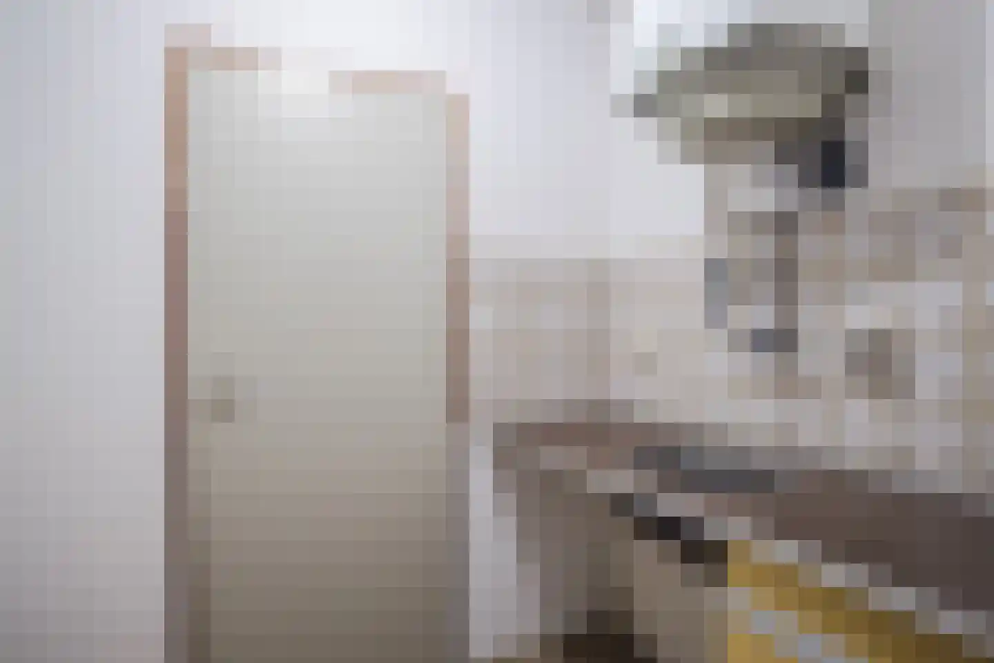 Loolaan 41 4D Apeldoorn thumbnail 12