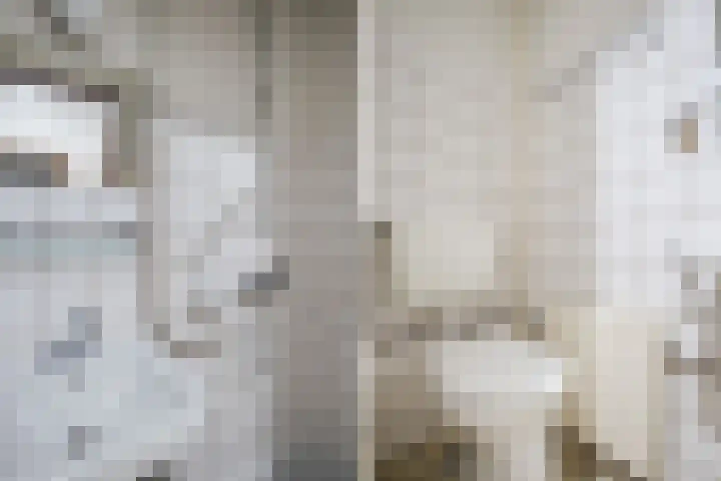 Loolaan 41 4D Apeldoorn thumbnail 20