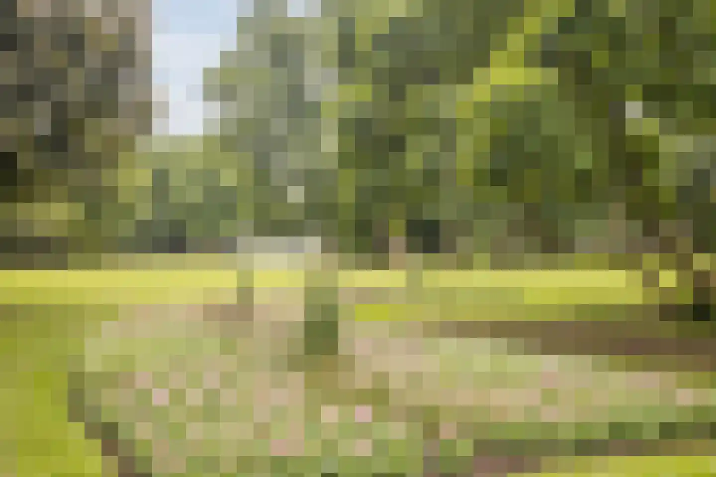 Loolaan 41 4D Apeldoorn thumbnail 38
