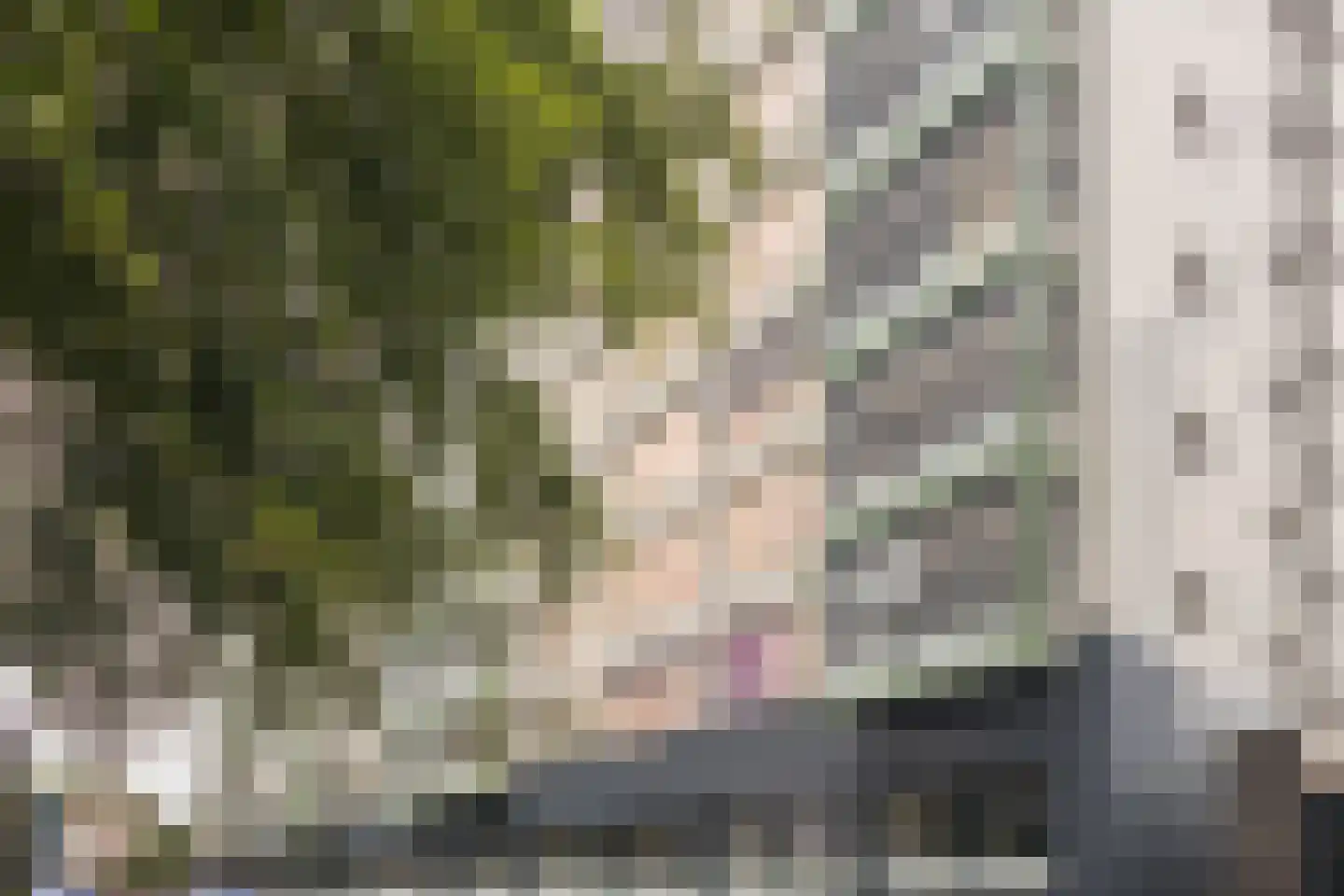Loolaan 41 4E Apeldoorn thumbnail 31