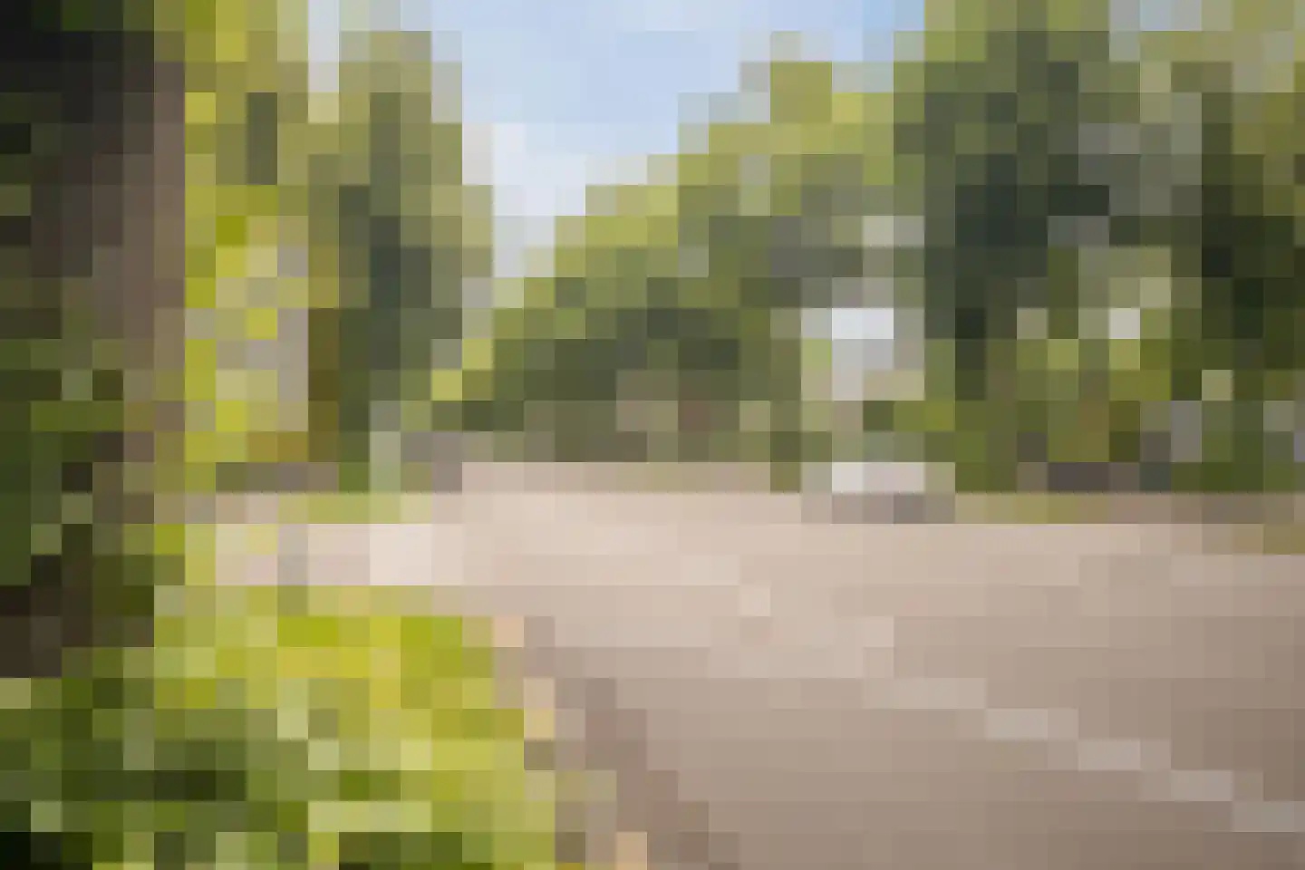 Loolaan 41 4E Apeldoorn thumbnail 35