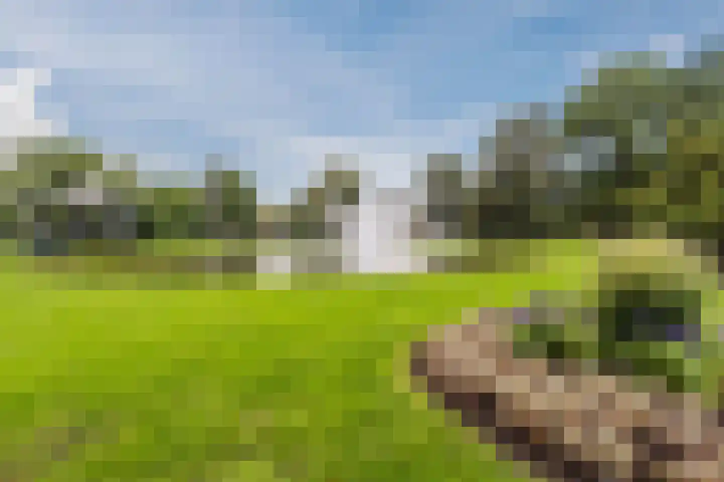 Loolaan 41 4G Apeldoorn thumbnail 32