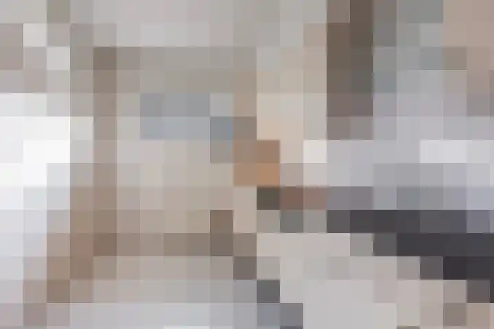 Loolaan 41 56 Apeldoorn thumbnail 12